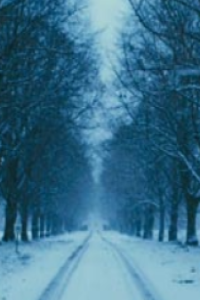 Girl with the Dragon Tattoo, The